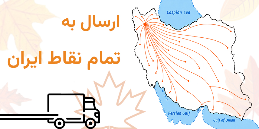 ارسال