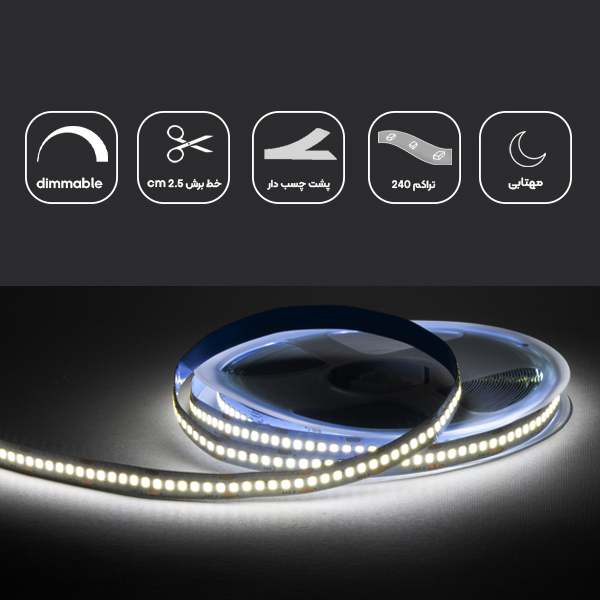 ریسه نواری لاین نوری 24 ولت تراکم 240 حلقه 10 متری مهتابی LXO