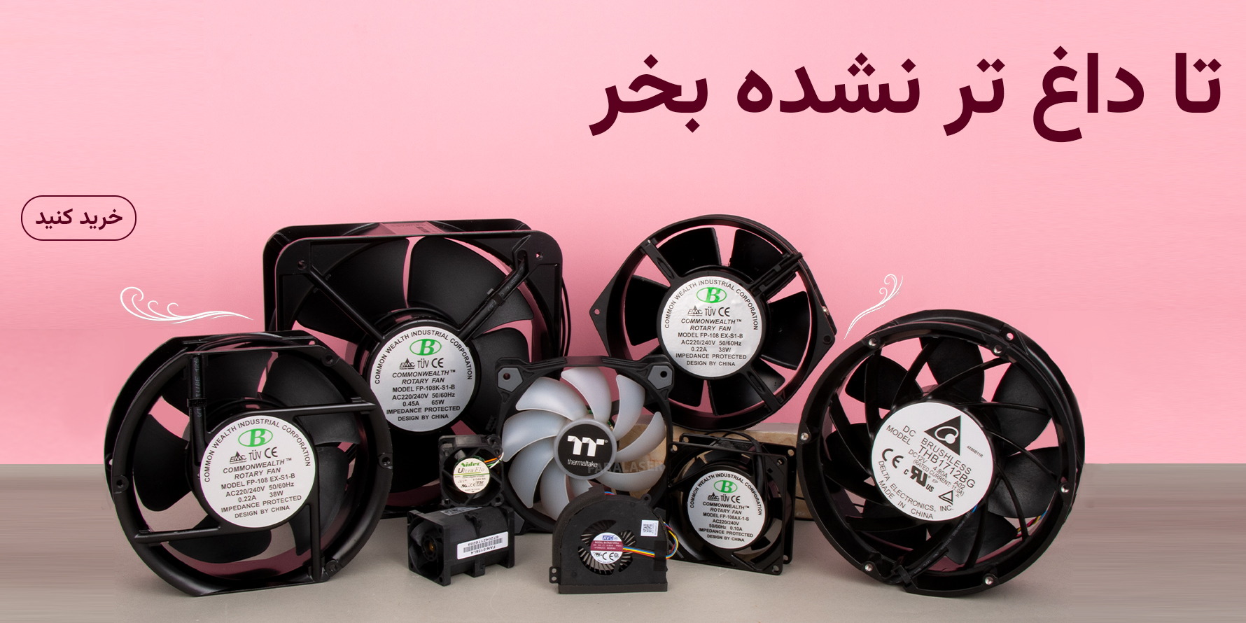 فن