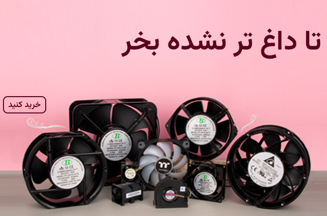 فن