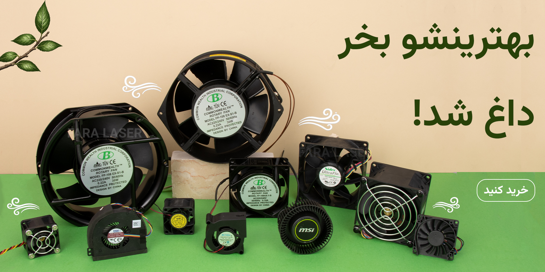 فن