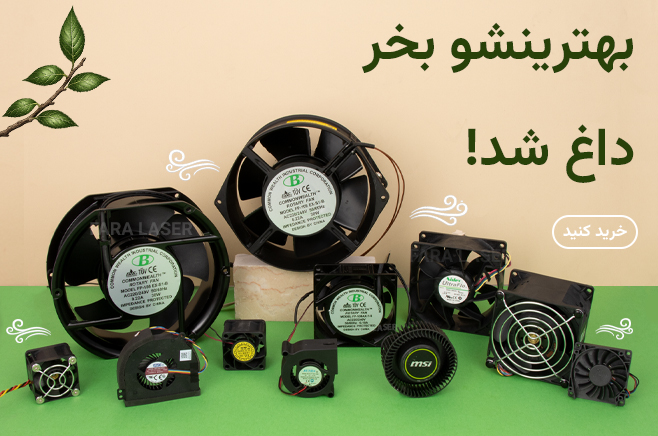 فن