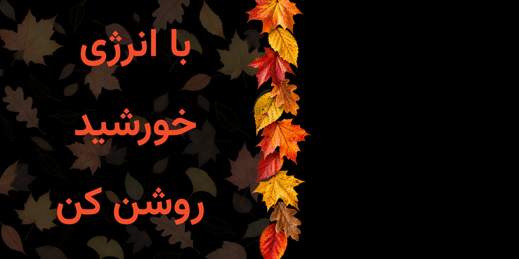 سولار